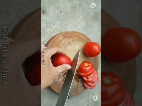 ステークス-トマト-トレリス-木-緑-壁