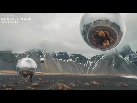 Black V Neck - Want It