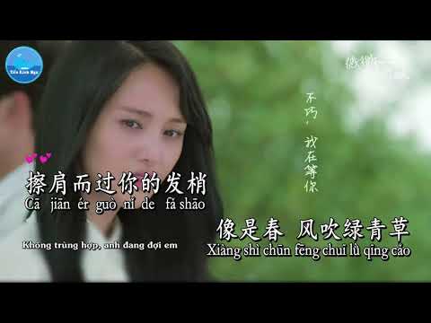 [ Bí KTV ]Vy Vy Mỉm Cười Khuynh Thành Karaoke   Tone nữ