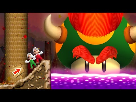 Newer Super Mario Bros. Wii Falling Leaf - 2 Players - Full Game Walkthrough 100%