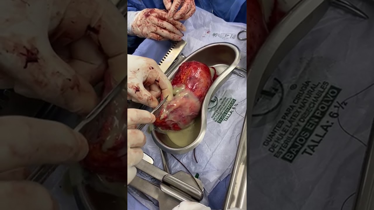 Lázaro Sánchez Vicuña-19