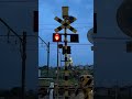 Japanese railroad crossing warning lights (日本の踏切警報機)