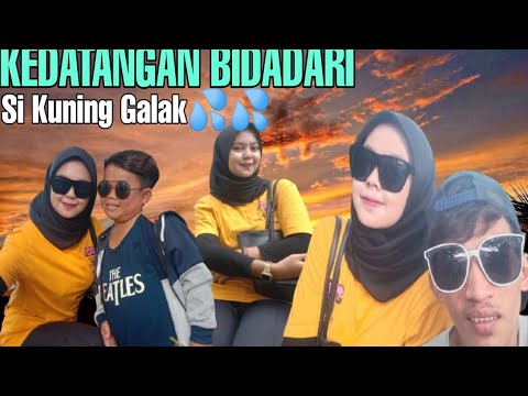 kedatangan-bidadari-sikuning-galakvlog-budak-koceak