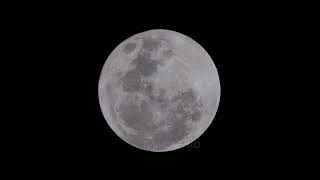 4K extra crisp definition footage of the Full Pink Moon of April 2025