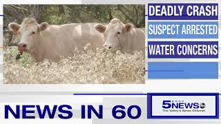 KRGV CHANNEL 5 NEWS Update - August 17