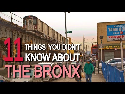 11 Things You Didn't Know About THE BRONX
