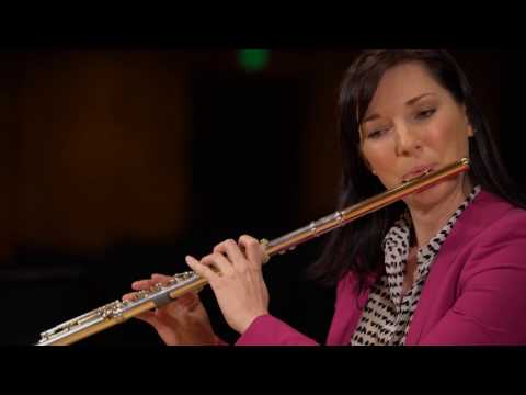 What does a flute sound like? (Ode to Joy)