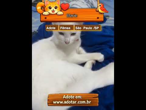 Vídeo de Marie 