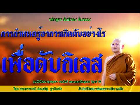 การกำหนดรู้อาการเกิดดับอย่างไรเพื่อดับกิเลส โดยพระอาจารย์ประเสริฐ ฐานังกโร 8/63