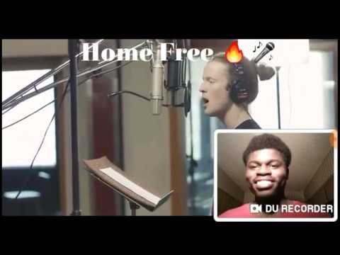 Shakira - Try Everything From The Movie (Zootopia) (Home Free Cover)