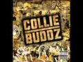 collie buddz- movin on (LYRICS IN DESCRIPTION)