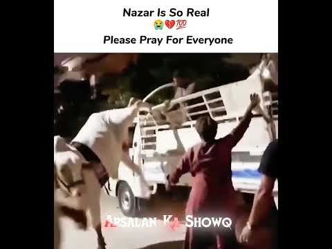 Pray For Everyone 😭💔 #viral #cow #qurbani2026 #ytshorts #emotional #sad #shorts