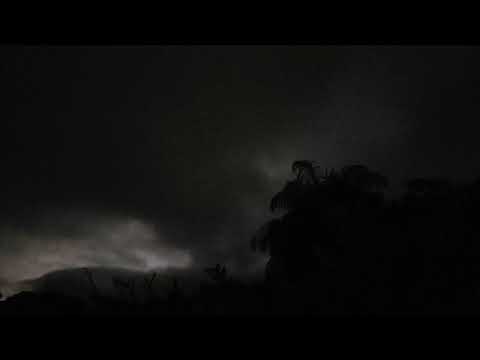 Shakti with John McLaughlin [RIP Zakir Hussain], Peel Sessions, BBC, London (1977)