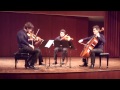 Schumann String Quartet op. 41/3, Adagio Molto