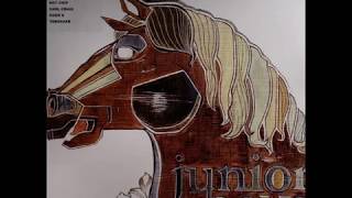 Junior Boys - [B] FM (Tensnake Mix)