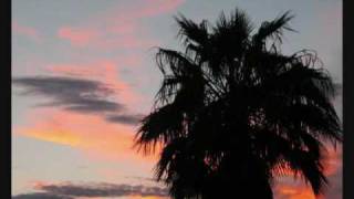 Sunsets Edge of Sundown Molly Hatchet,