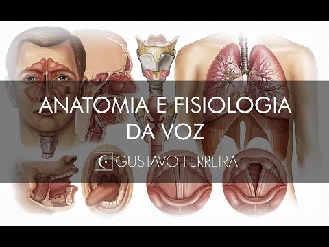 AULA DE ANATOMIA E FISIOLOGIA DA VOZ - Gustavo Ferreira