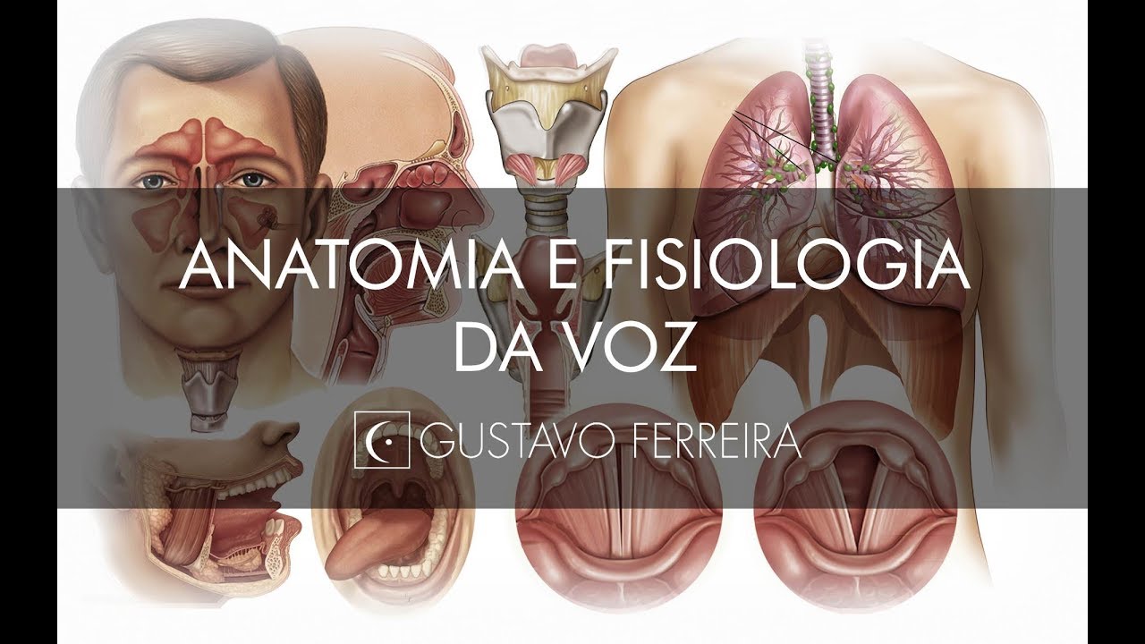 AULA DE ANATOMIA E FISIOLOGIA DA VOZ - Gustavo Ferreira