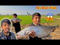 First Time Itni Bari Fish Dekhi 😱 Fish Party 🥳