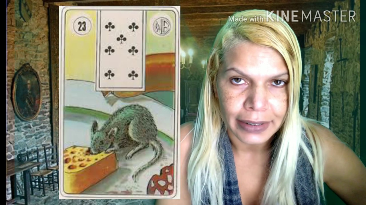 O que ninguém fala sobre a Carta do Rato.Veja o lado positivo da carta do Rato !!