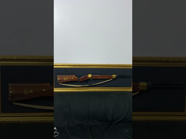 لوحة مجسم بندق اثنين ماصوره