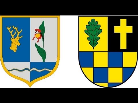 Dickenschied-Felsőtárkány 1993-2013 összefoglaló