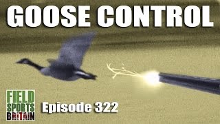 Fieldsports Britain - Goose Control