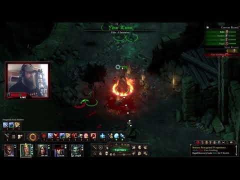 Pillars of Eternity 2 - The Cornett's Call 2