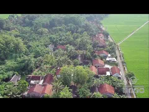 DRONEDESA - GRUMBUL ADISARA KULON DESA ADISARA