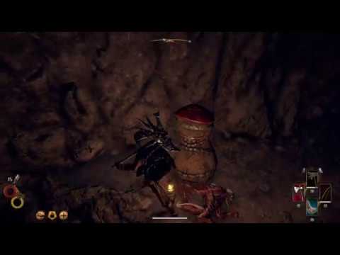 Outward auf der Suche nach dem Pilzschild in der Blasenhauthöhle