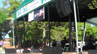 Paint it Black Quartet Chamber Rock Quartet - Winter Park Art Show