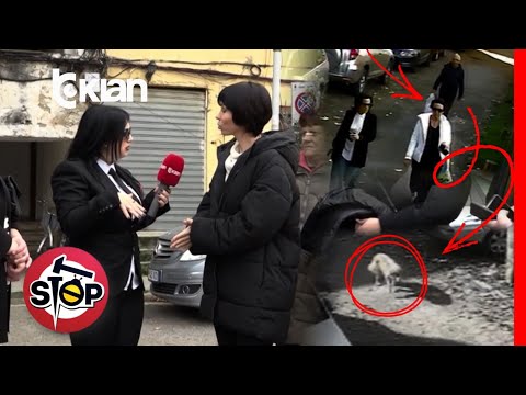 Stop - Video tronditëse, drejtues të institucioneve helmojnë qentë në Tiranë - 24 Nëntor 2025