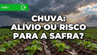 Chuva de até 130 mm e risco de queimadas: como fica a sua safra