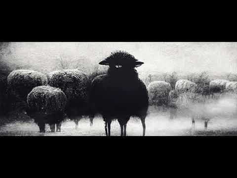 404Billy - MOUTON NOIR (LYRICS VIDEO)