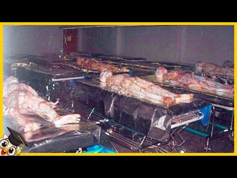 20 Tajemniczych Rzeczy Znalezionych W Pobliżu Strefy 51