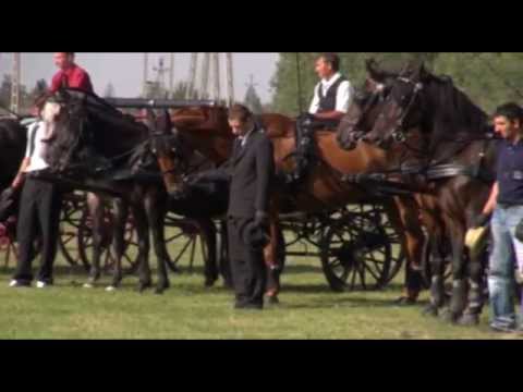 XIII. Biharnagybajomi Lovasnap