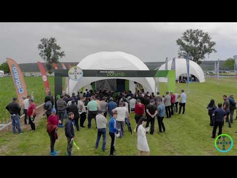 BAYER AGRO ARENA 2019. Imagini spectaculoase de la Marghita, Bihor