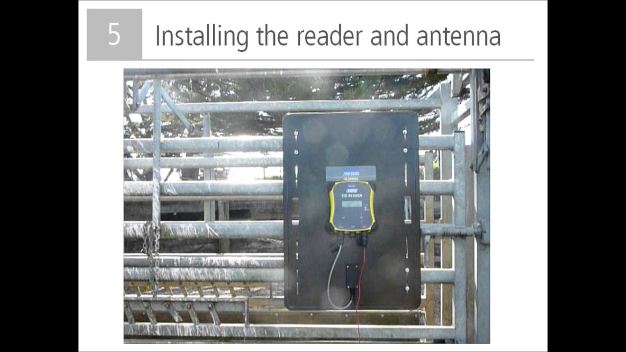 XRP2 EID Reader nagy antennával – 12 V-os csatlakozással, DeLaval transzponderrel és krotáliákkal