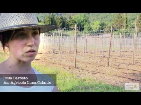 Rosa Barbato ci presenta l'azienda agricola Luna Calante