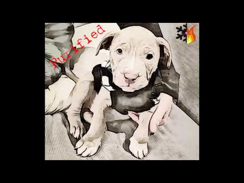 Chance The Rapper x The Game x Drake Type Beat - Tell Me If You Ridin - Tagged