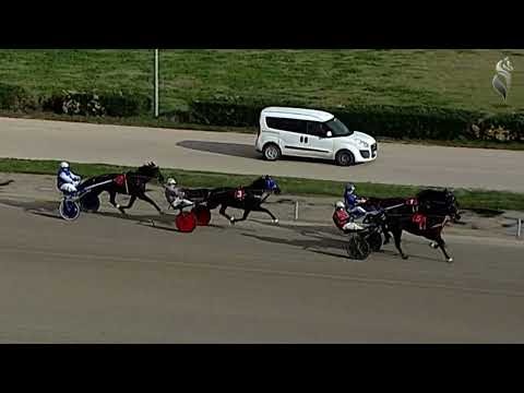 Aversa trotto 21 Gennaio 2023 - 2° Corsa