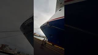 Carnival Spirit Docked in Hilo, HI #shorts #carnival #hawaii #hilo