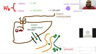Gastrointestinal 1 (GIT1- TOXIC USMLE) Ibrahem Gamal شرح وحل معادلة امريكية-ابراهيم جمال