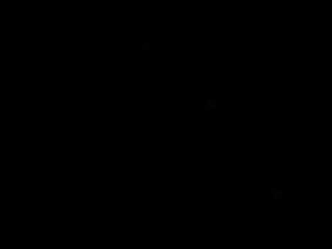 DER EIDERSPLEASER II