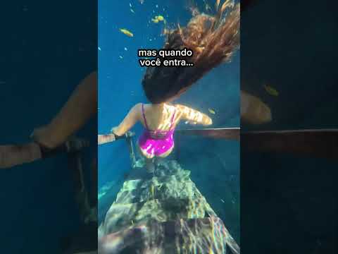 Já tinha ouvido falar? 😱 #brasil #viagem