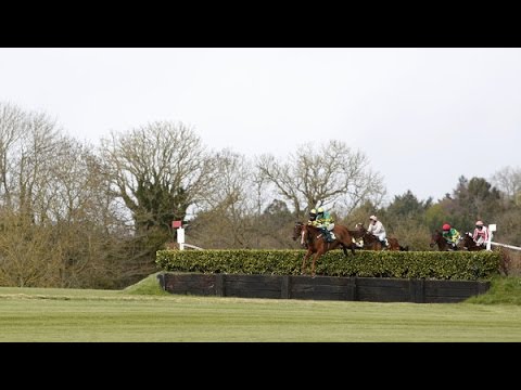 2016 Punchestown Cross Country Chase La Touche Cup