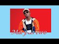 Mayorkun - Mapariwo cover (Official Audio)