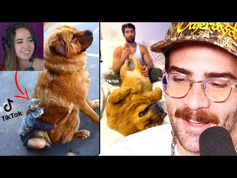 Hasan Reacts to TikToks of Kaya | HasanAbi Reacts