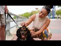 ADTV S10E07 Bradenton FL Cheri Castro