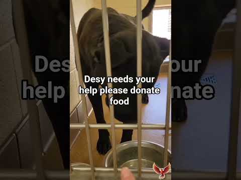 paypal link in bio to donate food #NYC#LosAngeles#Chicago#Texas#Florida#california